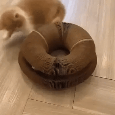YOONMA Scraball - Glückseliges Katzenspielzeug für Spaß und gesunden Lebensstil