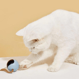 YOONMA Smartball - Spaß und aktive Unterhaltung Deiner Katze