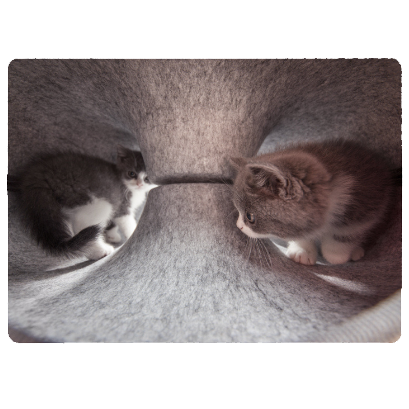 YOONMA Yoyu - Vielseitiges Katzenbett bringt deiner Katze Spaß und Erholung