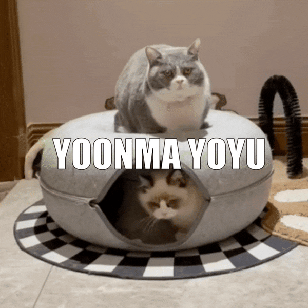 YOONMA Yoyu - Vielseitiges Katzenbett bringt deiner Katze Spaß und Erholung
